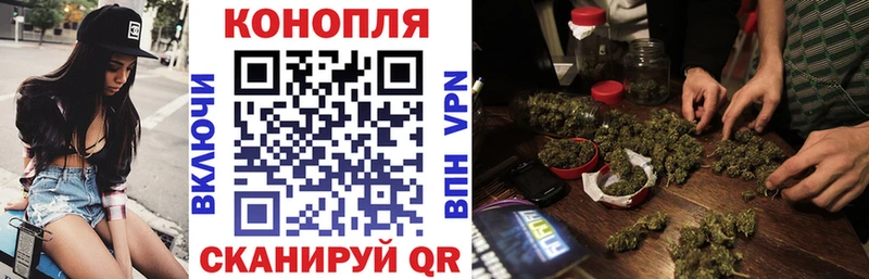 Каннабис OG Kush  Санкт-Петербург 